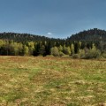 Szczeliniec